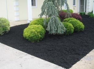 Mulch Black